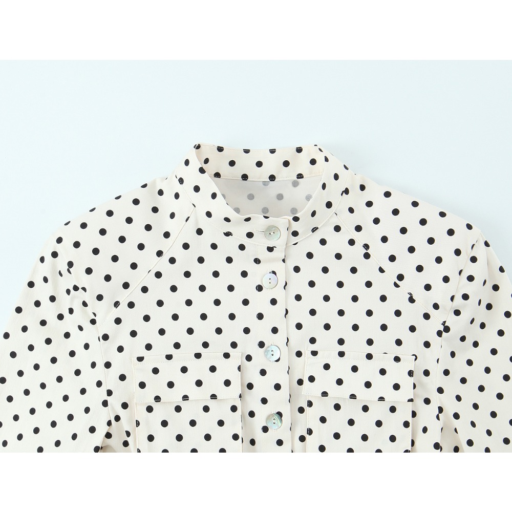 エレガントでシックなフィット感のあるポルカドット柄のツーピー - Shirts のレビューと価格